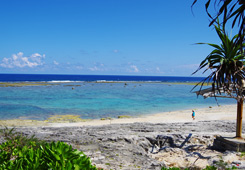 沖永良部島風景の写真