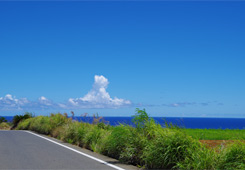 沖永良部島風景の写真